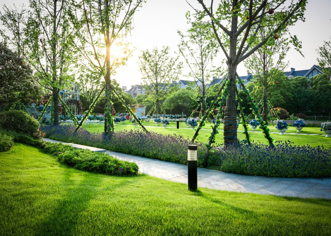 Beautiful panorama of green city park at dawn Beautiful panorama of green city park at dawn
